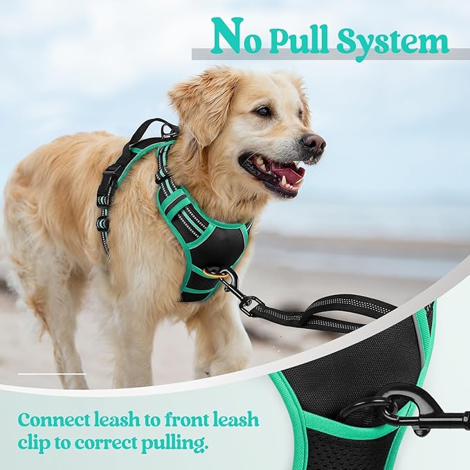rabbitgoo Dog Harness, No Pull for Small Dogs with 2 Leash Clips, Pet Vest | No Choke with Handle, Adjustable Soft Padded, Reflective, Easy Control for Walking, Black & Turquoise, Small