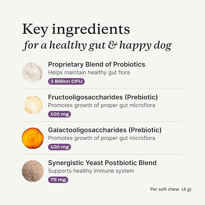 PetLab Co. Probiotic Chews for Dogs - Salmon, 30ct, 2-Pack