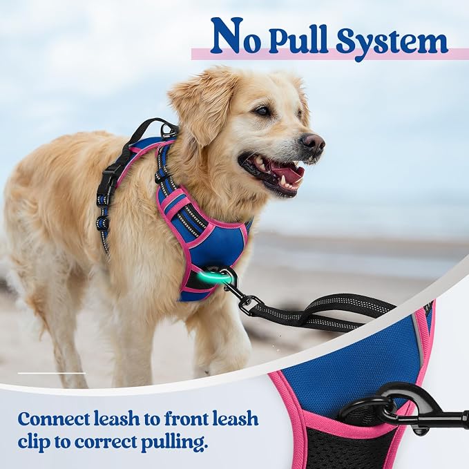 rabbitgoo Dog Harness, No Pull Medium Sized with 2 Leash Clips, Pet Vest | No Choke with Handle, Adjustable Soft Padded, Reflective, Easy Control for Walking, Blue & Hot Pink, Medium