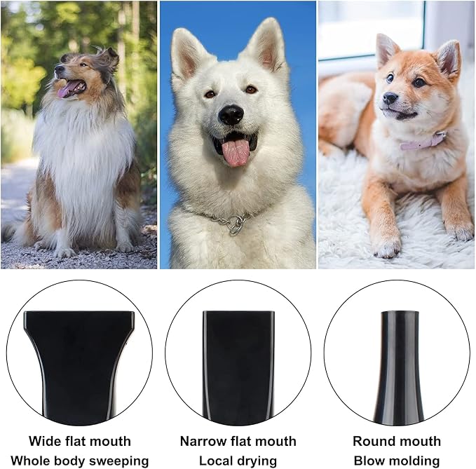 Pet Dryer for Dog, High Velocity Dog Hair Dryer, Less Noise Dog Blow Dryer, Professional Pet Grooming Dryer,Stepless Adjustable Speed, Heat Insulation, 4 Different Nozzles