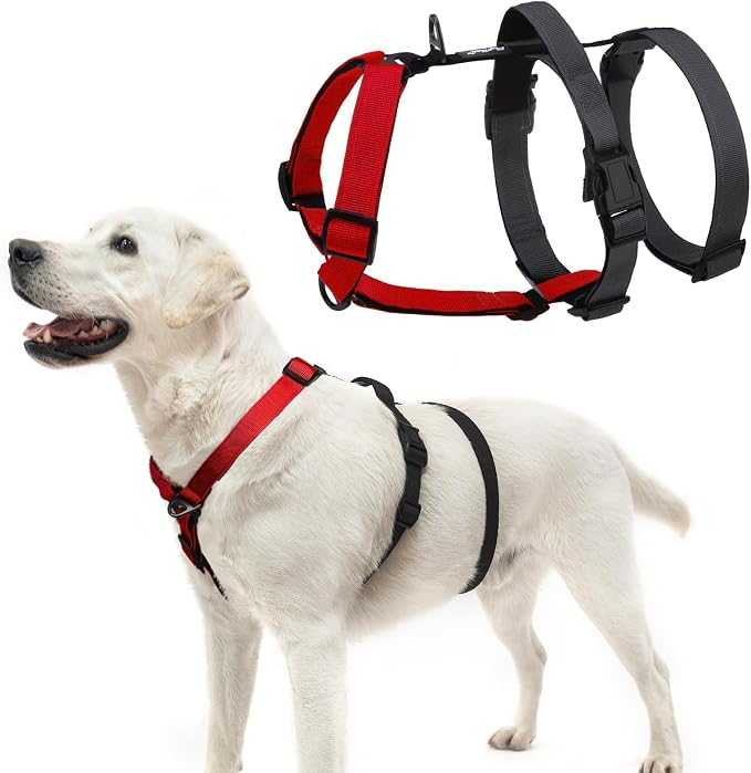 PUPTECK Escape Proof Dog Harness - No Pull Soft Padded Full Body Pet Halter Harness with Lift Handle for Small Medium Large Doggies Walking Hiking Hunting, Red & Black, L