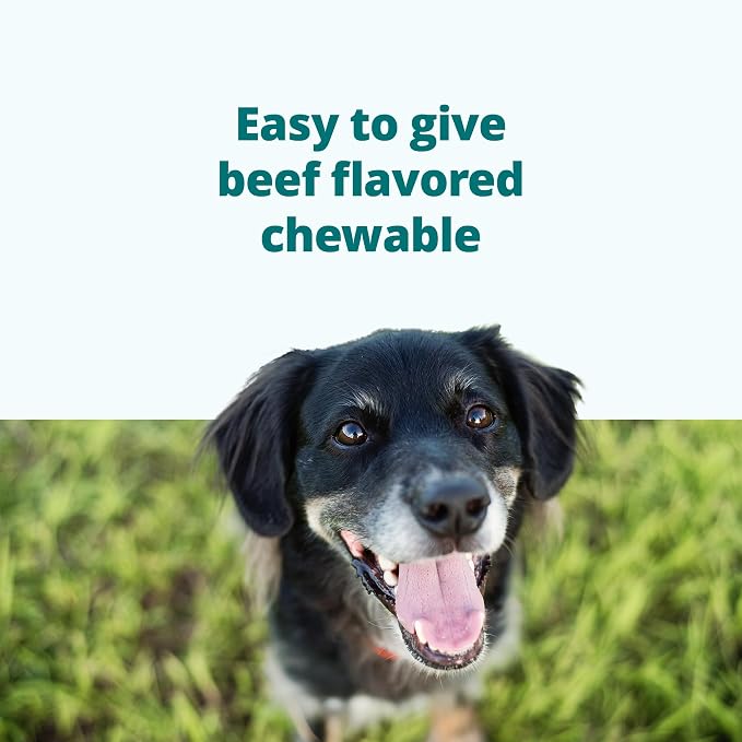 Rederox® Chewable Tablets for Dogs, 25mg, 30 Tablets