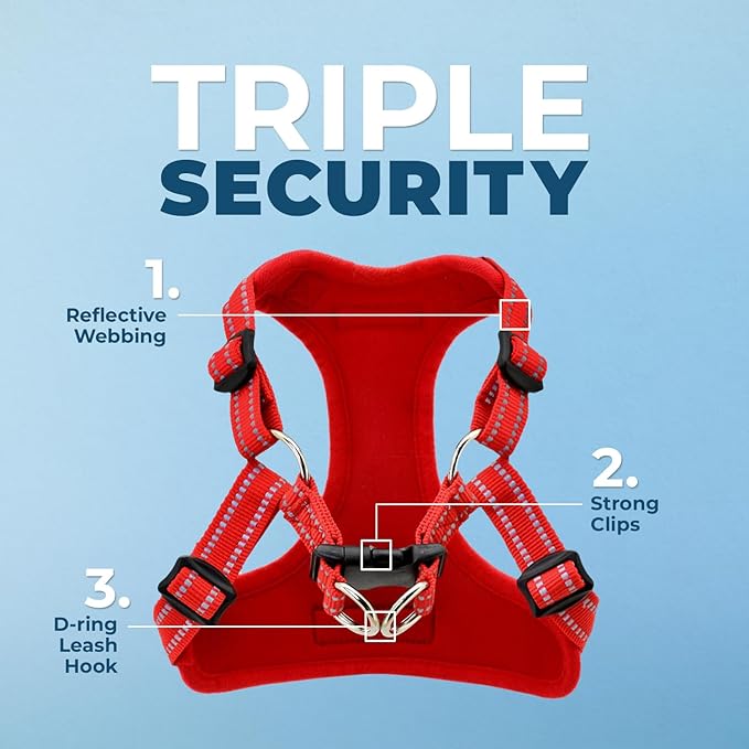 Best Pet Supplies Voyager Adjustable Step-in Flex Breathable Mesh Dog Harness for Small Medium Large Dogs Leash Set (Red), M