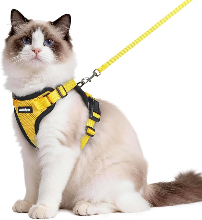 rabbitgoo Cat Harness and Leash Set, Escape Proof Vest, Yellow | Soft Breathable Mesh, Easy Adjustable Fit, Snap Buckles, Sturdy Clip, Reflective Strips, for Medium to Large Cats Walks, M
