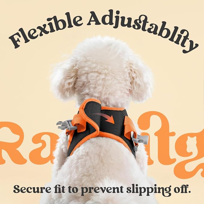 rabbitgoo Dog Harness Small Sized and Leash Set, Step in Soft Vest | Breathable Mesh, Easy Wear with Hook & Loop, Light and Reflective for Walking, Multi-colored, Black & Orange, XXS