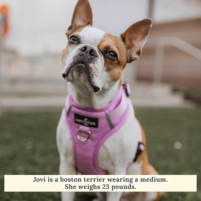 Lucy & Co. No-Pull Dog Harness - Water-Resistant Neoprene, Front & Back Leash Attachments, Padded Mesh Interior, Adjustable Neck & Chest Straps for Everyday Adventures - Bouquet - XL