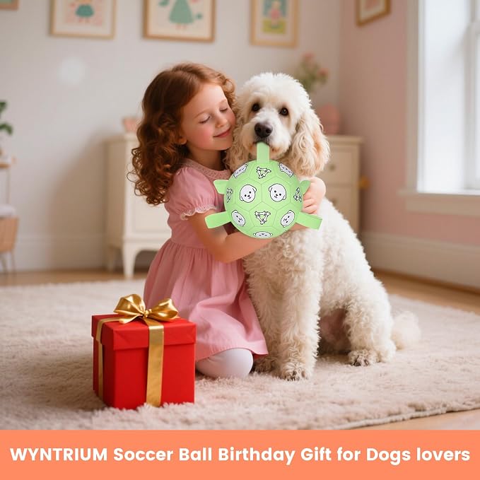 6in Dog Soccer Ball, Interactive, Floating