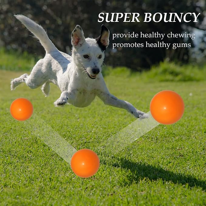 KAIKER Dog Balls Indestructible, Solid Rubber Bouncy, Large Breed