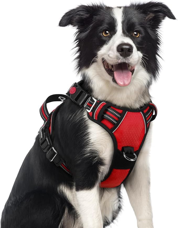rabbitgoo Dog Harness Medium Sized, No Pull 3 Buckles Easy On & Off | Soft Padded, Walking with Control Handle, Adjustable and Reflective, Red, Medium