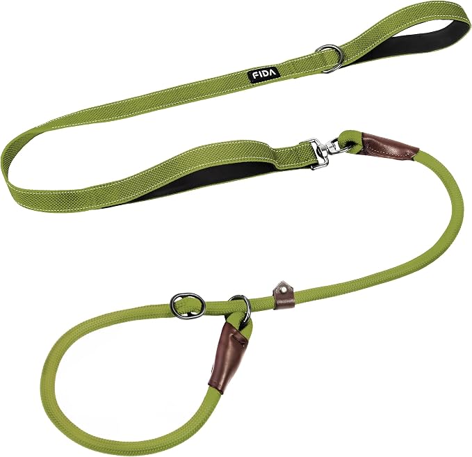 Fida 2-in-1 Slip Lead Dog Leash with 2 Handles, 6FT Training Leash, Green | No Collar Needed, Tangle Free, Soft Padded Handles, Traffic Control,Reflective Heavy Duty No Pull Leash for Medium-Large Dogs