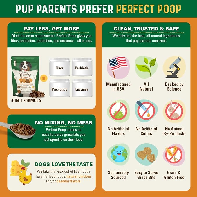 Bernie's Perfect Poop 4-in-1 Dog Digestion Supplement, Cheese, 12.8 oz