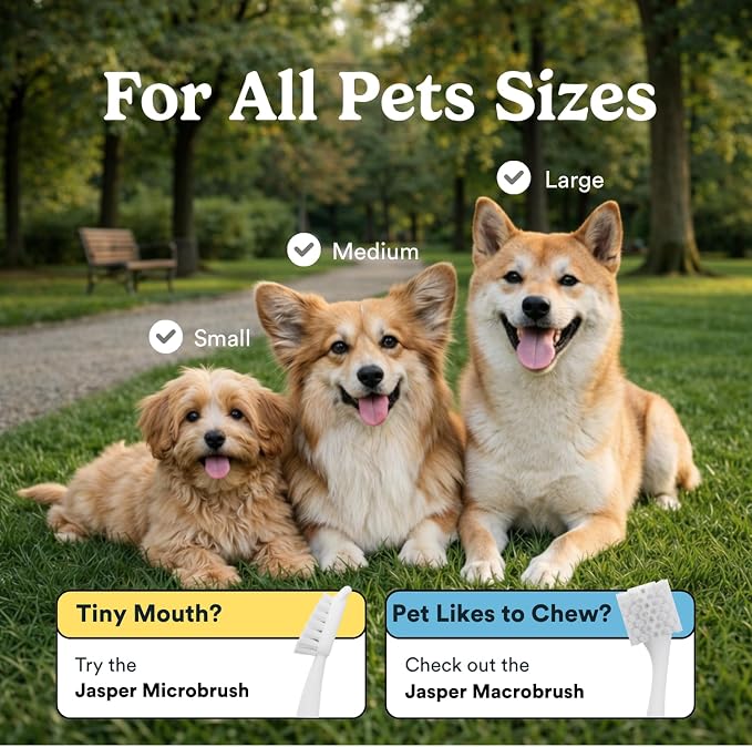 Jasper Dog Toothbrush, 360 Dog Tooth Brushing Kit, Finger Toothbrush, Cat Tooth Brush, Teeth Cleaning, Pet Tooth Brush for Small & Large Pets, Pet Toothpaste Not Included, 2-Pack Blue