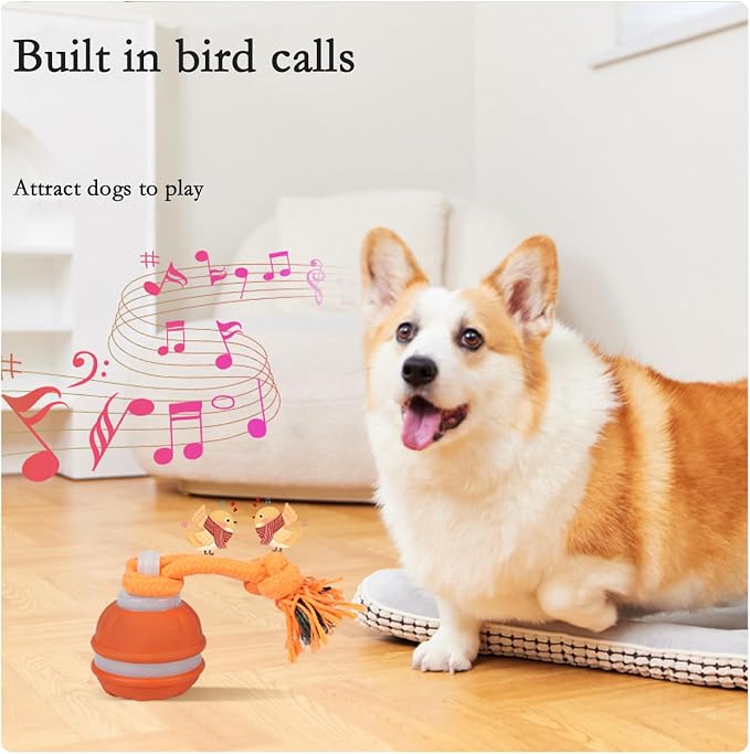2Pack Interactive Dog Toys for Small Dogs – Peppy Pet Ball & Chase Buddy Dog Toy Active Rolling Puppy Toys to Keep Them Busy, Daily Training Interactive Puppy Toys