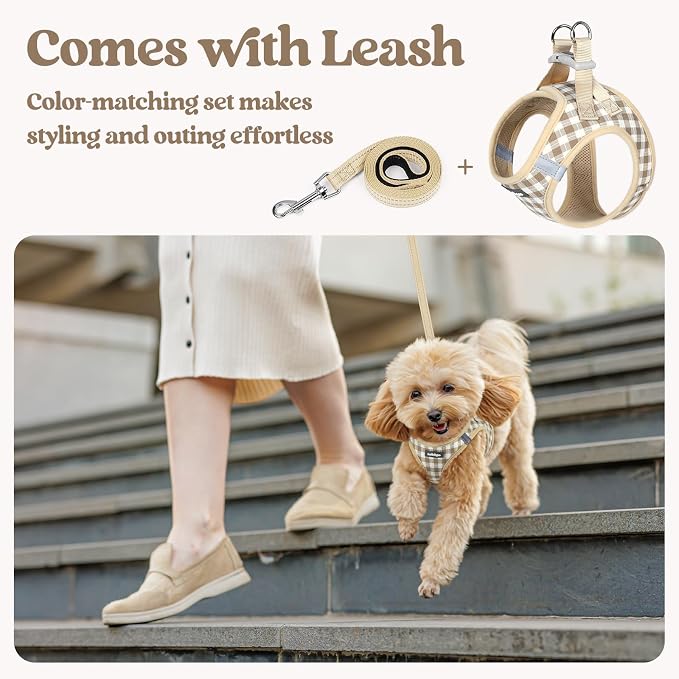 rabbitgoo Dog Harness Small Sized and Leash Set, Step-in Puppy Pet Vest | Light, Soft, Breathable Air Mesh, Easy on and Remove with Hook & Loop, Secure Reflective for Walking, Beige Check XS