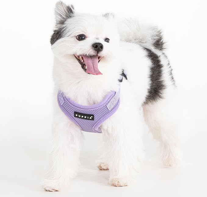 Puppia Comfort Dog Harness C (Step-in) Fashionable Mesh Spring Summer Harness for Small Dogs, Violet, Large
