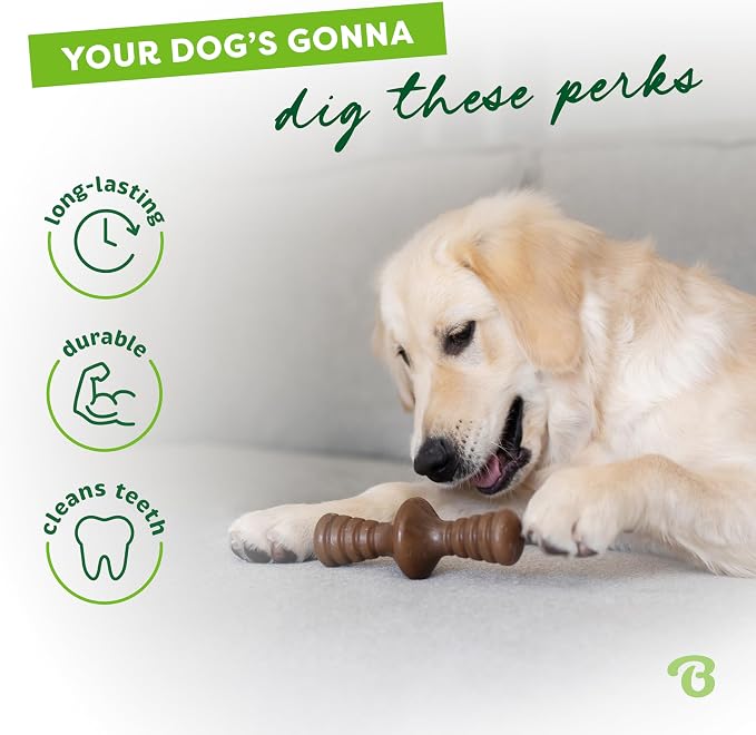 Benebone Zaggler Rolling Dog Chew Toy for Aggressive Chewers, Real Peanut, Made in USA, Small