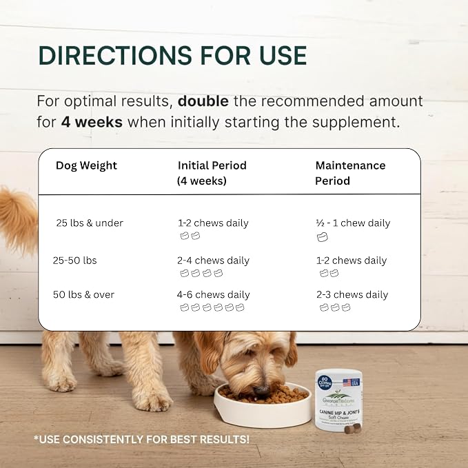 Hip & Joint Supplement Soft Chews for Dogs – Advanced Mobility & Comfort Support – Glucosamine, Chondroitin, MSM, Turmeric, Boswellia & Collagen – 60 Count