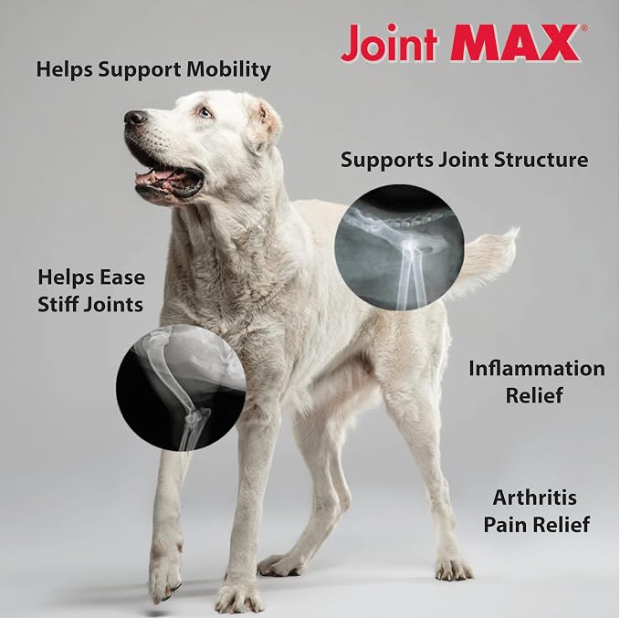 Double Strength - Vitamins, Minerals, Antioxidants - Maximum Joint Health Supplement for Dogs - 120 Chewable Tablets