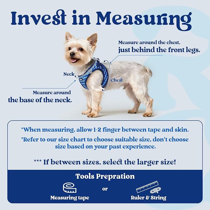 rabbitgoo Step-in Small Dog Harness, Puppy Vest for Small Sized Pet | Easy Put on and off, Lightweight, Soft, Breathable Quick-Dry Air Mesh for Comfortable Secure Walking, Blue Zigzag S