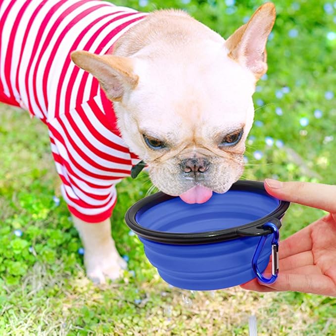 Dog Bowl Collapsible, 2 Pack, with Carabiners, Small, Blue+Red