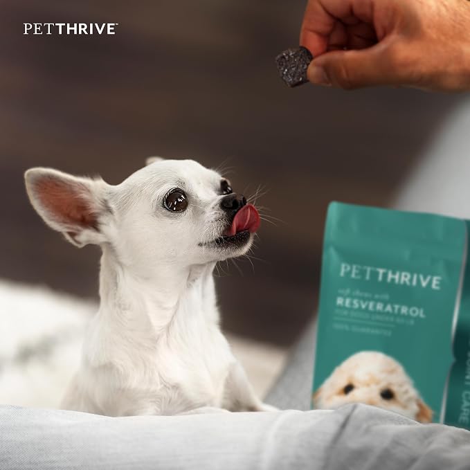 Resveratrol Chews Dog Supplement, Bacon Flavor, Small Breed