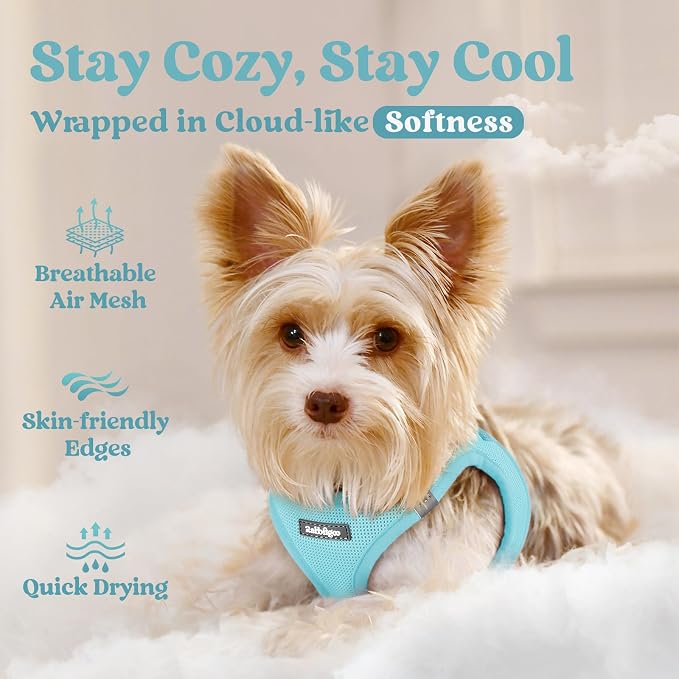 rabbitgoo Step-in Small Dog Harness, Puppy Vest for Medium Sized Pet | Easy Put on and off, Lightweight, Soft, Breathable Quick-Dry Air Mesh for Comfortable Secure Walking, Mint Blue XXL