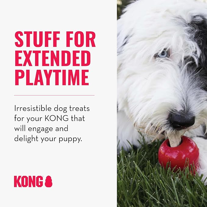 KONG Classic Toy & Ziggies Treats Combo Pack - Durable Chew Toy for Dogs - with Ziggies Chicken-Flavored Treats - Dog Accessories for Fun & Health - for Medium Dogs