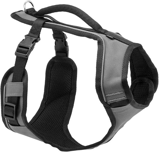 PetSafe EasySport Dog Harness, Charcoal Gray, Large | Padded, Elastic Neckline Harness for Active Dogs, Reflective Piping for Visibility, Top Control Handle, Rear Leash Clip