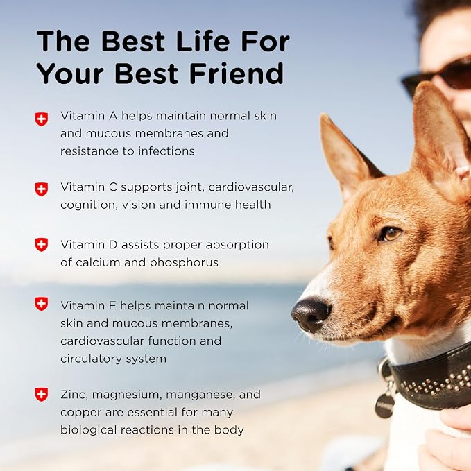 Nutri-Vet Dog Multivitamin, Daily Vitamins, Dog Health Support, 70 Count | Dog Vitamins, Dog Vitamins & Supplements, Immune Support, Skin Health, Joint Health, Gut Health, Daily Wellness