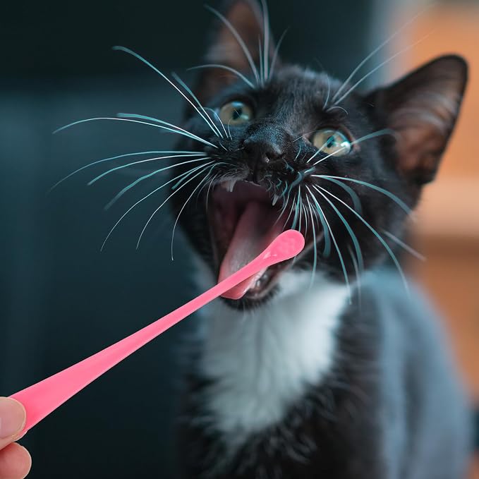 SEWACC 2Pcs Soft-Bristle Pet Toothbrush for Dogs and Cats Lightweight Oral Care Tool with Ergonomic Anti-Slip Handle Gentle Gum Massage and Teeth Cleaning for Pets