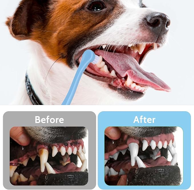 2 Pack Dog and Cat Toothbrush Kit - Mini Head Soft Brush for Deep Clean - Suitable for Puppy, Kitten, Small Pets - Portable Travel Friendly and Easy to Use
