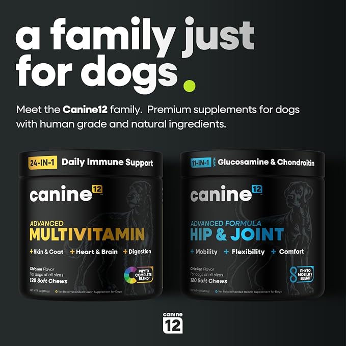 Dog Hip and Joint Supplement, Glucosamine, Chondroitin, MSM, 120ct