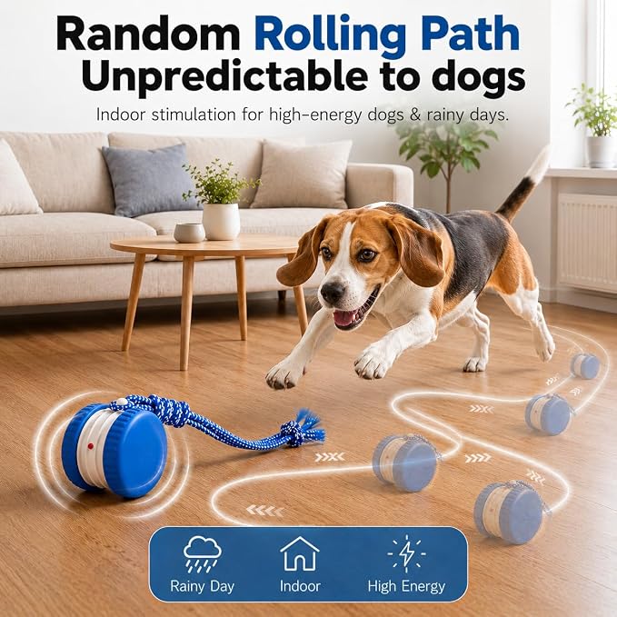 (2 Pack) Interactive Dog Toys for Small Dogs — Boredom Relief & Indoor Enrichment, Automatic Rolling Ball with Rope, Motion Activated Self Moving Dog Toy (Blue + Orange)