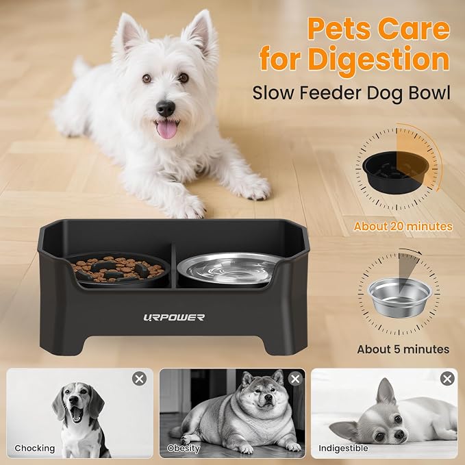URPOWER 3-in-1 Elevated Dog Bowls - Mess Proof Double Deck 4 Height Adjustable Raised Stand with 2 Stainless Steel Food Bowls & Licking Plate for Small, Medium Dogs