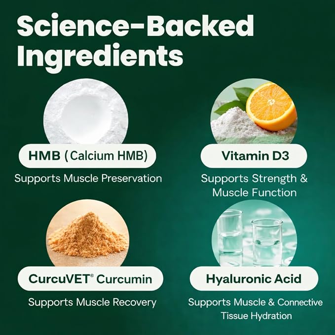 VetriScience HMB Healthy Muscle & Strength Supplement for Dogs, Mobility Support & Muscle Builder with Collagen, Calcium, Vitamin D & Curcumin, Powder, Pork, 8.47 oz - New Look