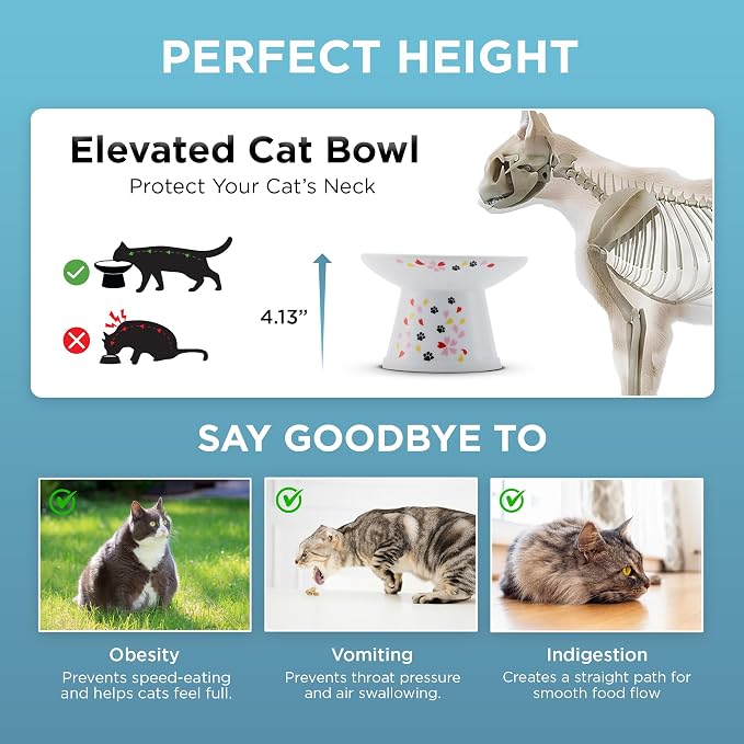 Necoichi Raised Cat Food Bowl – Ceramic Elevated Cat Bowl for Whisker & Neck Fatigue, Dishwasher Microwave Safe – Non-Slip & Anti Vomiting Ergonomic Design (Sakura Floral, Extra Wide, 2-Cups Capacity)