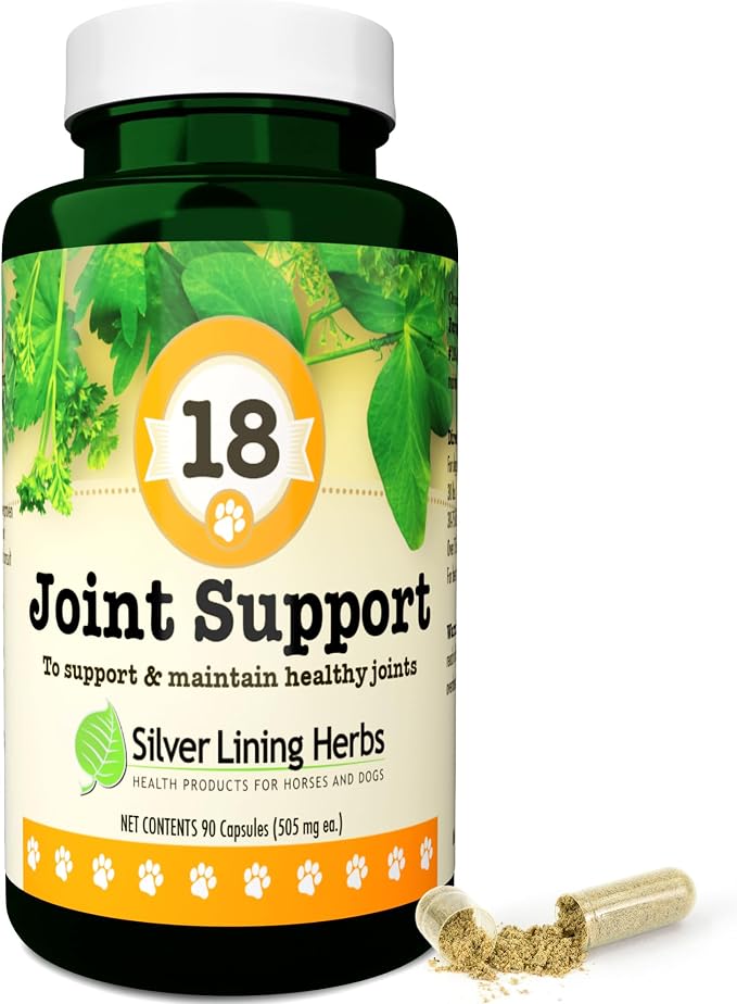 Silver Lining Herbs Dog Joint Supplement, Mobility & Comfort - 90 Ct