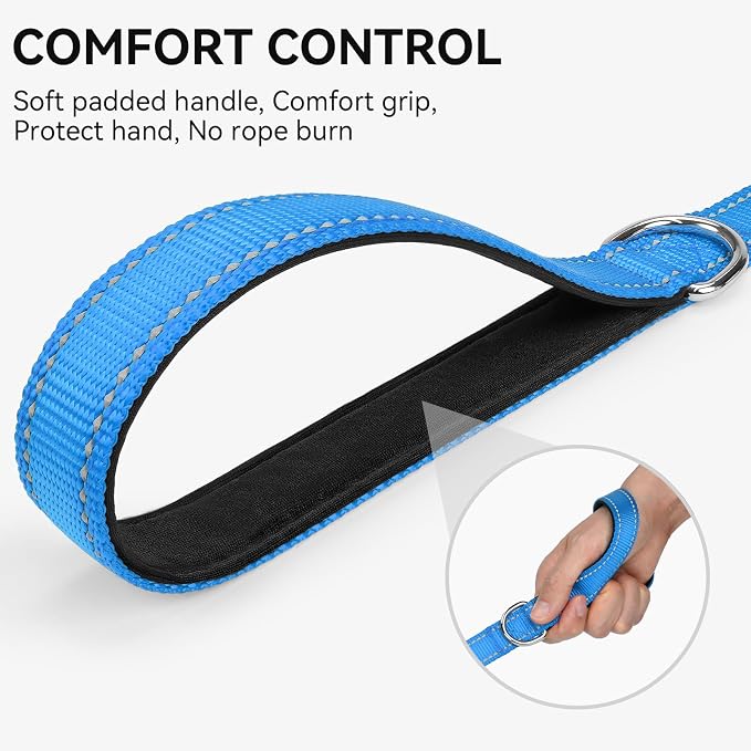 Joytale Reflective Dog Leash for Small Dogs, 5 FT x 3/4", Sky Blue | Heavy Duty Nylon Webbing, Padded Handle for Comfort, Visible at Night, for Walking & Training