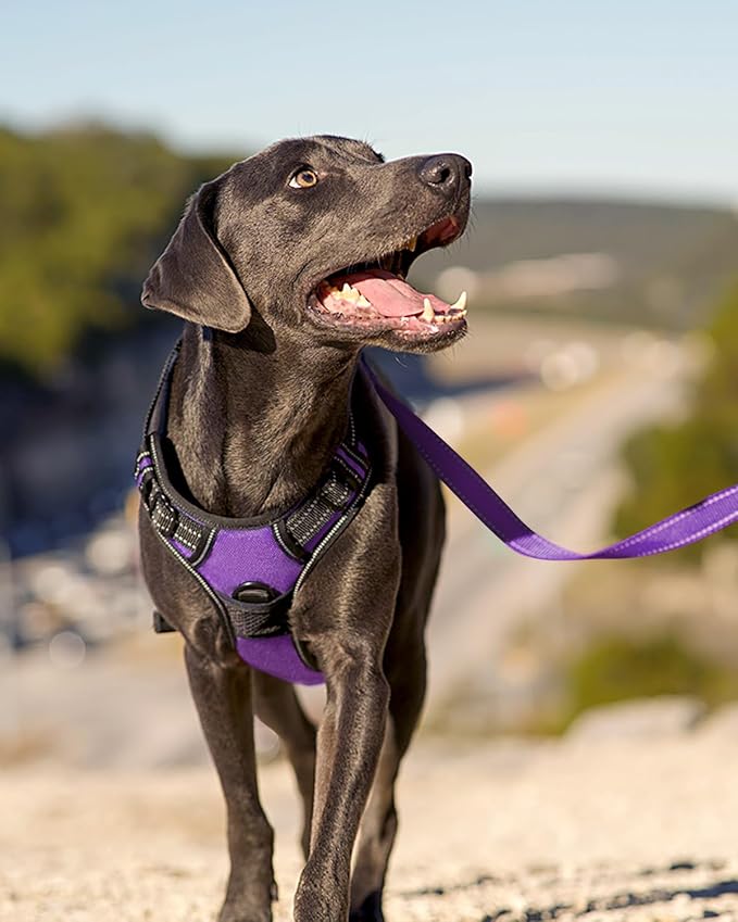 Joytale No Pull Dog Harness Medium Sized Dog, Front Clip, Purple | Grab Handle for Instant Control, Padded & Adjustable Vest, Sturdy Metal D-Rings, for Safe Training & Daily Walking