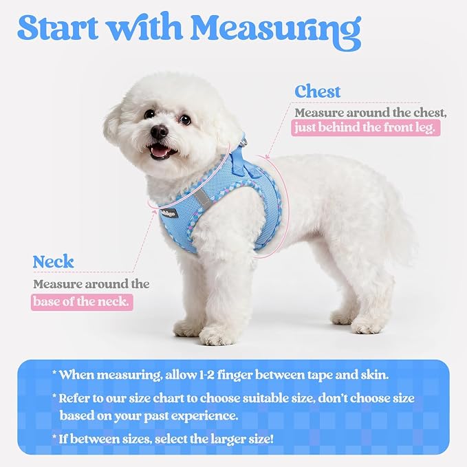 rabbitgoo Dog Harness Small Sized and Leash Set, Step-in Puppy Pet Vest | Light, Soft, Breathable Air Mesh, Easy on and Remove with Hook & Loop, Secure Reflective for Walking, Blue & Plaid Trim M