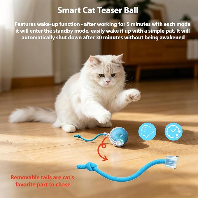 Interactive Cat Toys Ball for Indoor Cats, Automatic Self-Rolling, Motion-Activated, Bird Chirping Cats Dogs Ball Toy with Elastic Mesh Tail, Cat Enrichment Toys for Indoor Cats (Red+Blue)