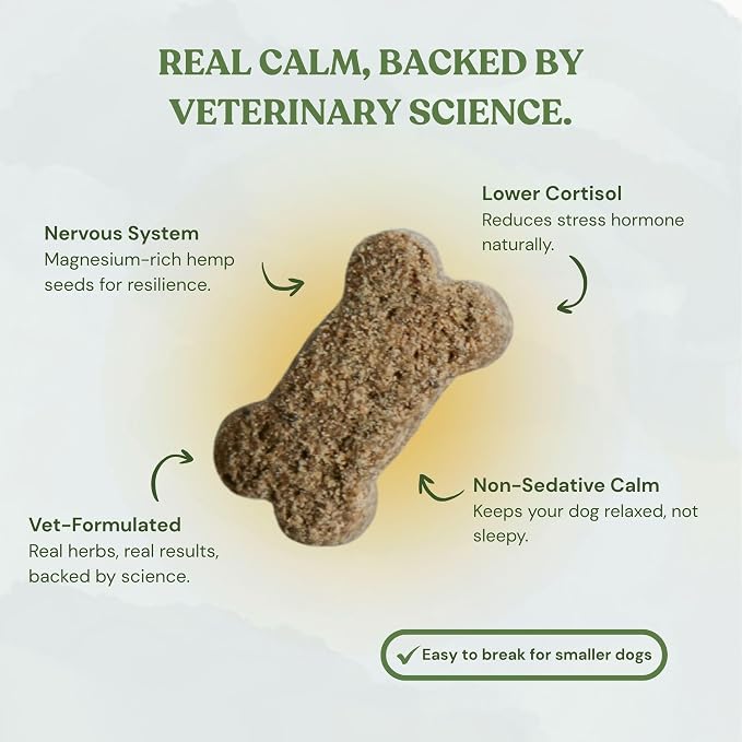 Balance + Calm Calming Dog Treats, Plant-Based with Ashwagandha, Peanut Butter & Pumpkin, Stress & Anxiety Relief, Grain-Free, Organic, 2-Pack Bundle