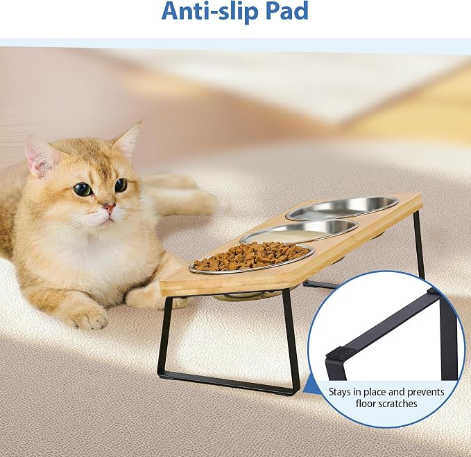 Hannadepot Elevated Cat Bowls, 15° Tilted Raised Cat Food and Water Bowl, Anti-Vomit & Whisker-Friendly Design, 3 Stainless Steel Bowls for Cats and Small Dogs