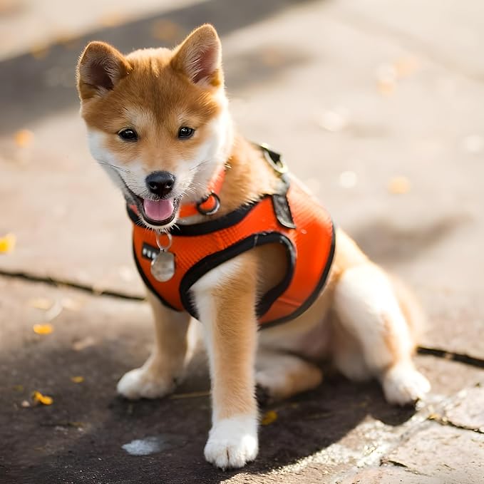 PUPPIA International Harness Soft B Vest, XX-Large, Orange