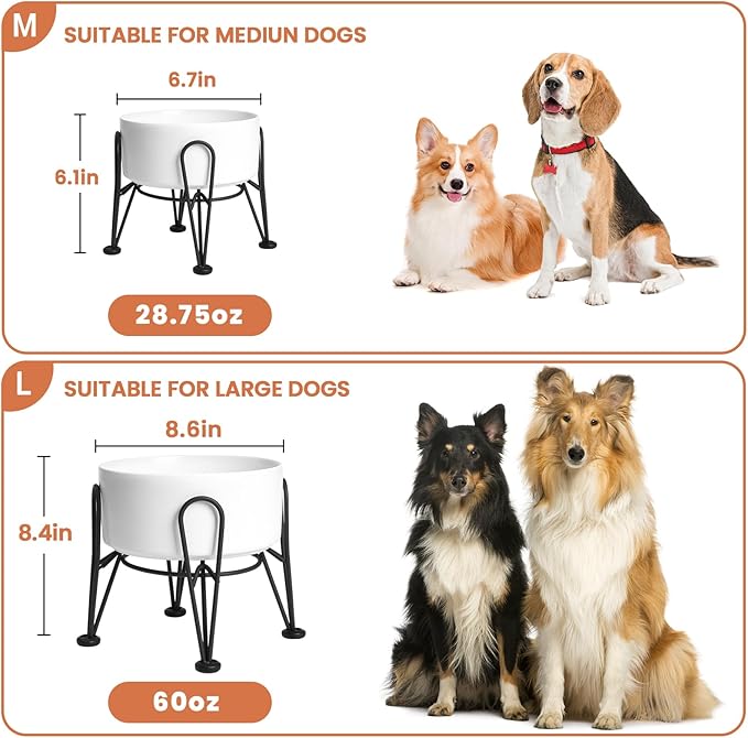 Elevated Dog Bowl, Ceramic Raised Dog Bowl with Anti-Slip and Non-Tip Metal Stand, 1 Pack Pet Food and Water Feeding Bowls for Small and Medium Dogs (White,3.6 Cups)