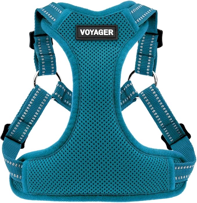 Voyager Step-in Flex Adjustable Dog Harness - Turquoise, Small | 15 - 18" in Chest, Fully Adjustable, Reflective Bands, All Weather Breathable Air Mesh, Lightweight, Fast Drying