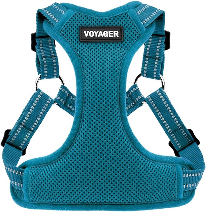 Voyager Step-in Flex Adjustable Dog Harness - Turquoise, X-Small | 13 - 16" in Chest, Fully Adjustable, Reflective Bands, All Weather Breathable Air Mesh, Lightweight, Fast Drying
