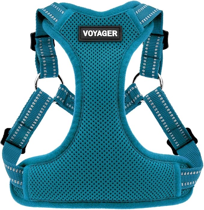 Voyager Step-in Flex Adjustable Dog Harness - Turquoise, Medium | 17 - 21" in Chest, Fully Adjustable, Reflective Bands, All Weather Breathable Air Mesh, Lightweight, Fast Drying