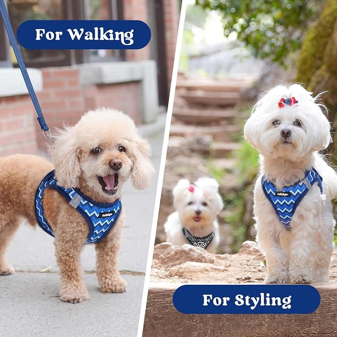 rabbitgoo Step-in Small Dog Harness, Puppy Vest for Small Sized Pet | Easy Put on and off, Lightweight, Soft, Breathable Quick-Dry Air Mesh for Comfortable Secure Walking, Blue Zigzag M