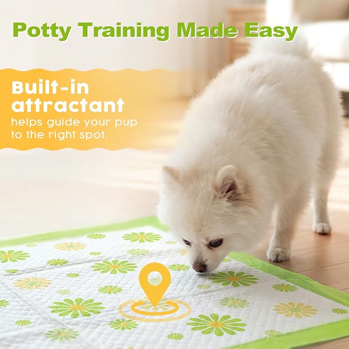 MIZOK Puppy Pads 22"x22", Dog Pee Pads 6-Layer Super Absorbent & Leak-Proof, Daisy Pattern, 4-Corner Adhesive Tabs, Wee Wee Pads for Puppies & Small Dog Breeds, Regular Size (50 Counts)